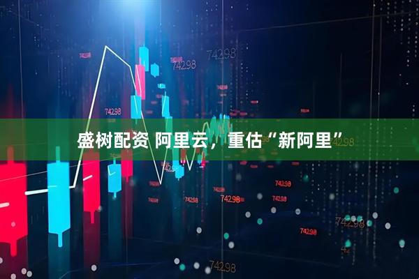 盛树配资 阿里云，重估“新阿里”