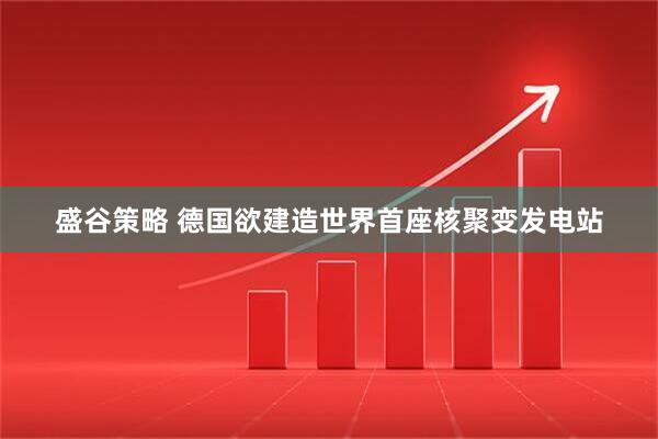 盛谷策略 德国欲建造世界首座核聚变发电站