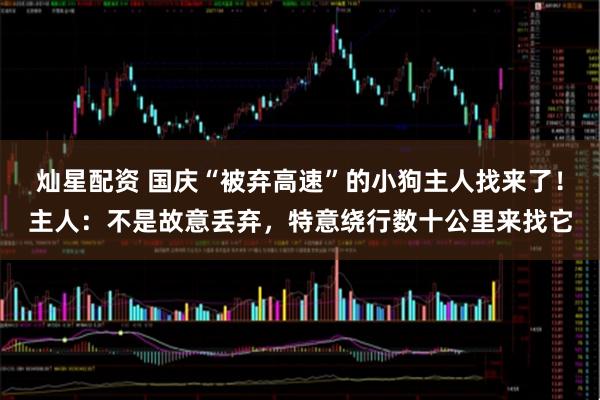 灿星配资 国庆“被弃高速”的小狗主人找来了！主人：不是故意丢弃，特意绕行数十公里来找它