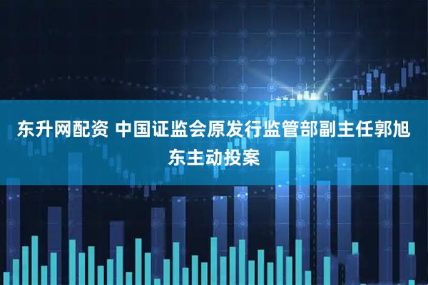 东升网配资 中国证监会原发行监管部副主任郭旭东主动投案