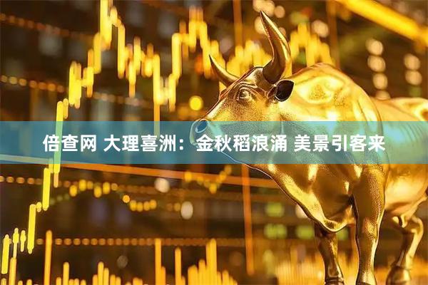 倍查网 大理喜洲：金秋稻浪涌 美景引客来