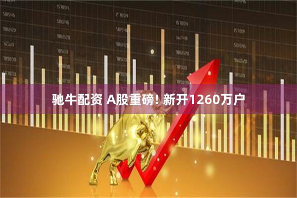 驰牛配资 A股重磅! 新开1260万户