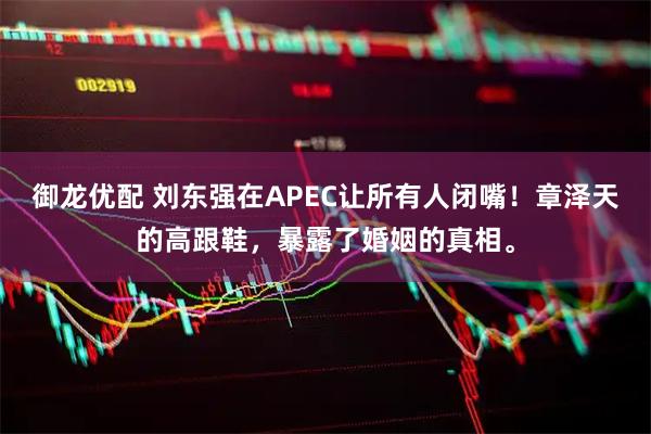 御龙优配 刘东强在APEC让所有人闭嘴！章泽天的高跟鞋，暴露了婚姻的真相。