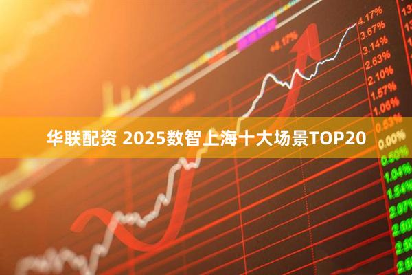 华联配资 2025数智上海十大场景TOP20