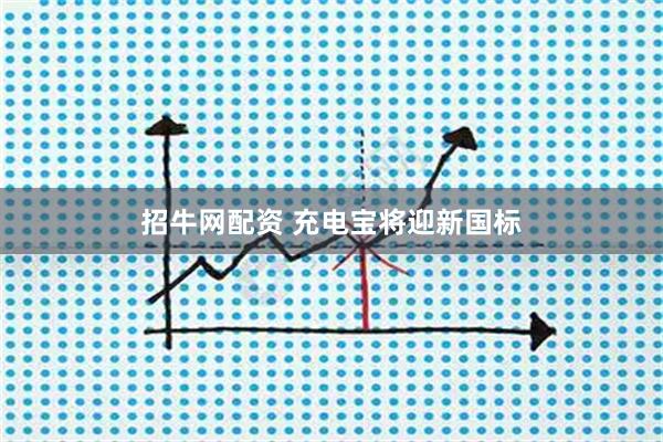 招牛网配资 充电宝将迎新国标
