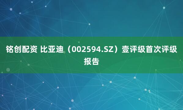 铭创配资 比亚迪（002594.SZ）壹评级首次评级报告