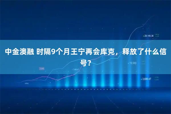 中金澳融 时隔9个月王宁再会库克，释放了什么信号？